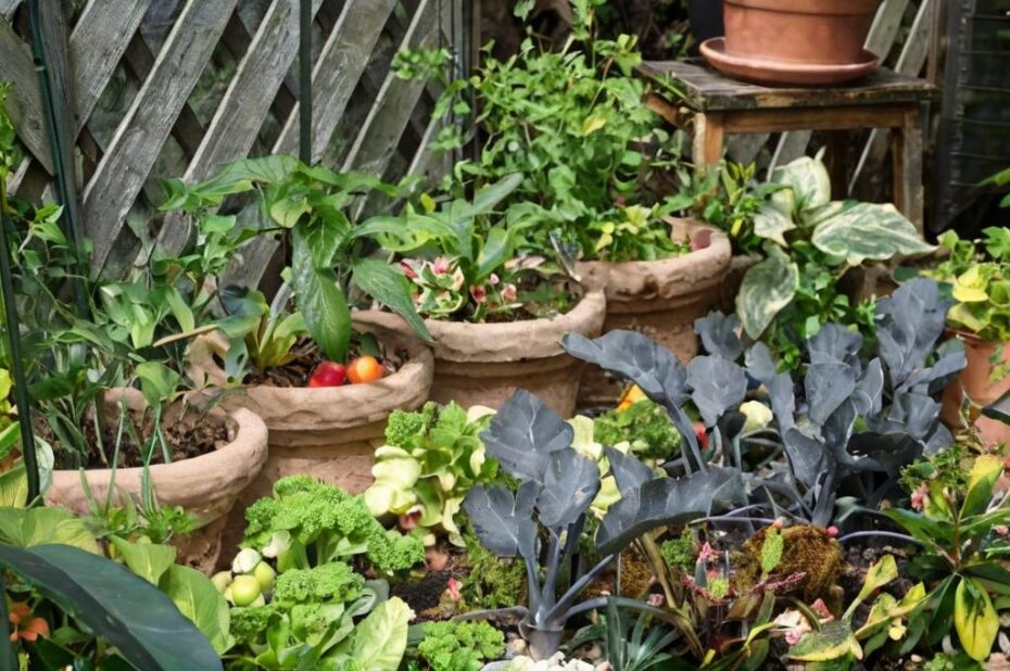 6 Verduras que crecen muy bien en maceta y que puedes tener en casa sin problemas
