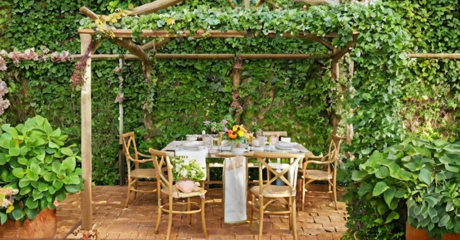 9 Plantas trepadoras para trepar por los muros