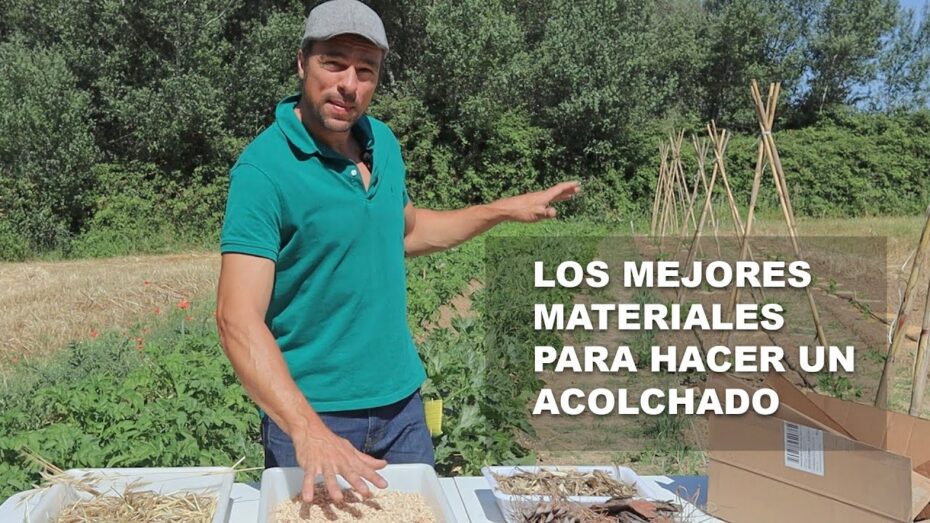 Acolchado del huerto: Cómo hacerlo de forma eficiente para maximizar el crecimiento de tus plantas