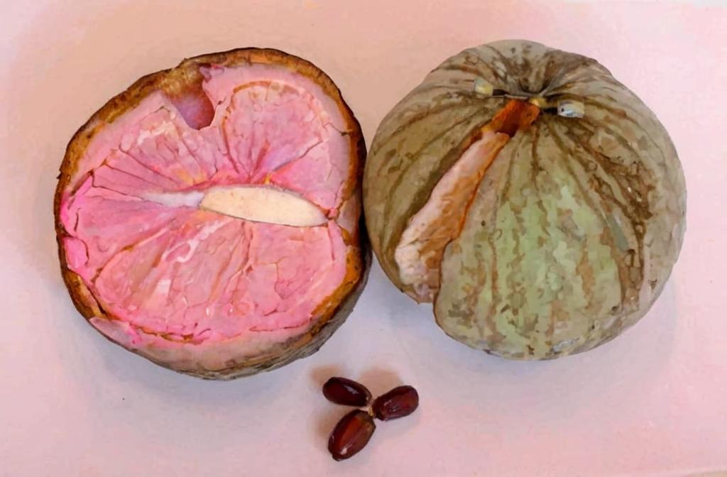 Anonas hondureñas, sabor y propiedades