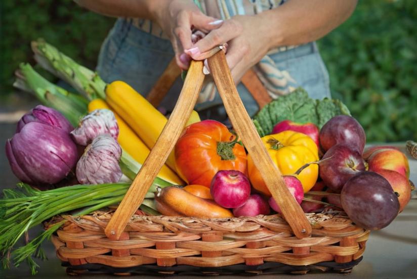 Características de los vegetales y sus tipos