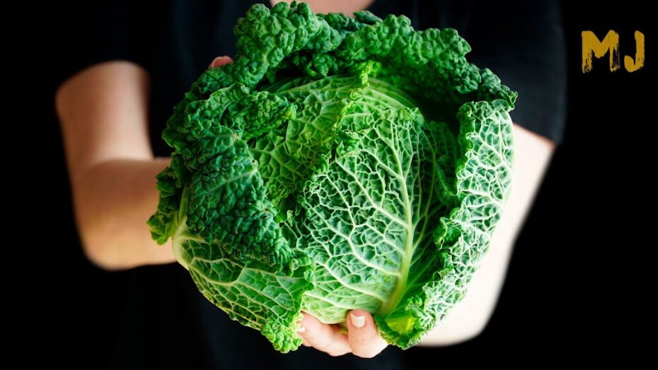 Col de Milán: Descubre los secretos de esta variedad de col imprescindible en la cocina y en tu jardín