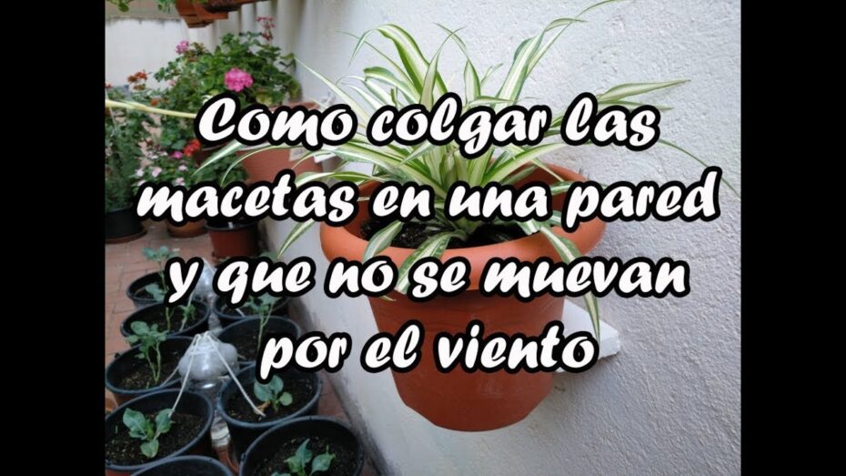 Colocación de macetas en la pared: Guía completa para decorar con plantas