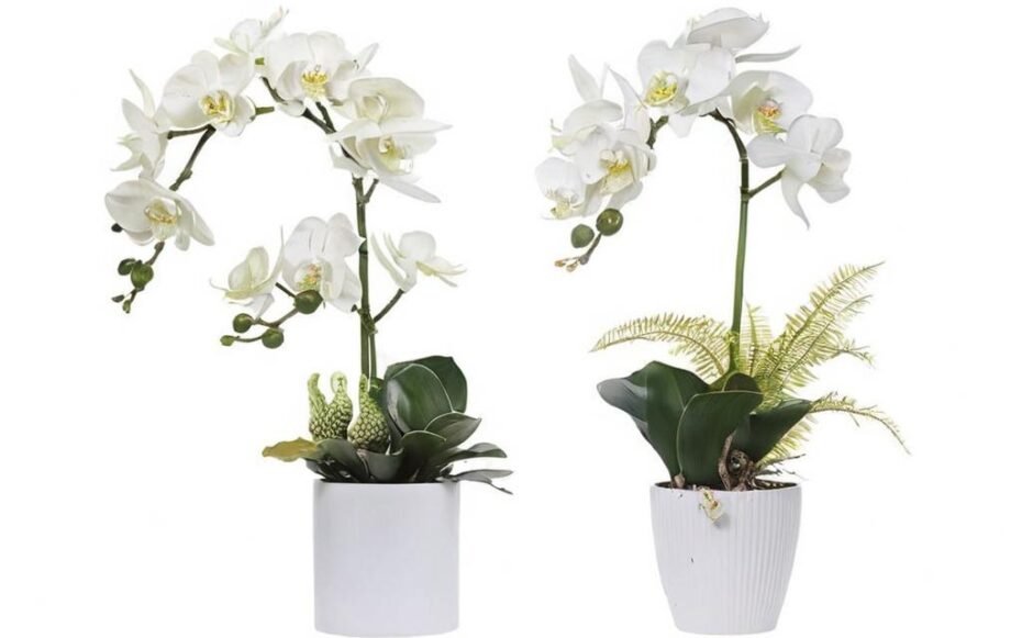 Cómo comprar orquídeas artificiales que parezcan de verdad