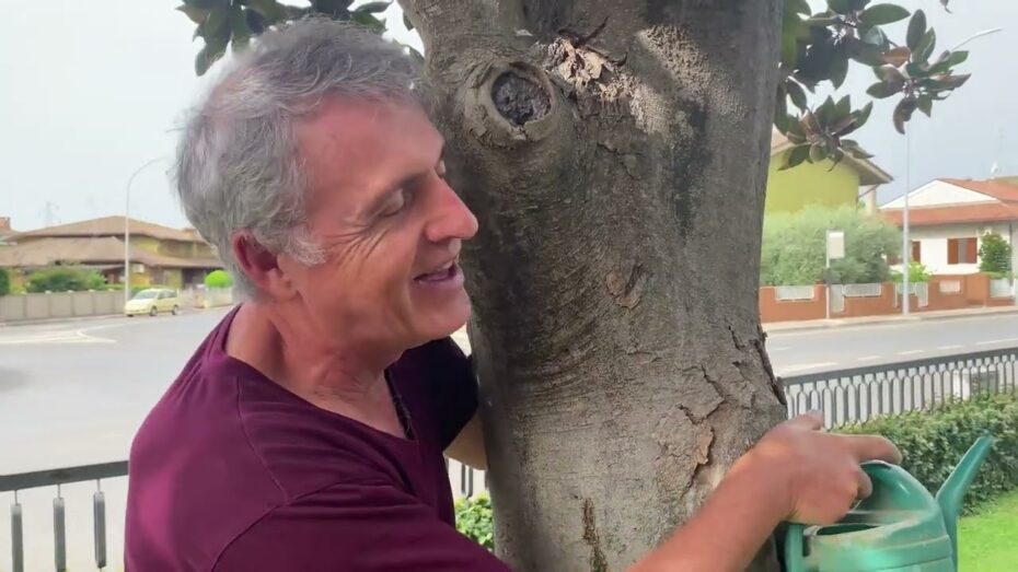 Jardín español: Descubre cómo es y cómo diseñarlo