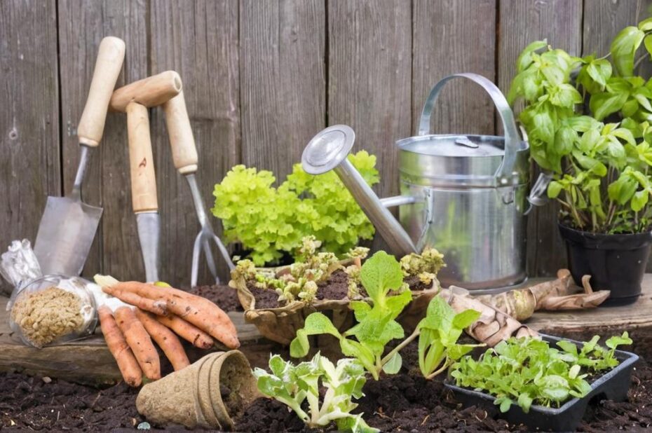 Cómo hacer abono casero para plantas en maceta