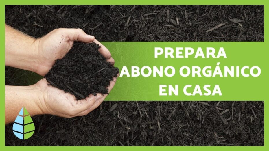 Abono orgánico: Guía completa sobre cómo hacerlo