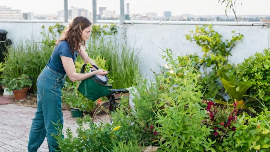Cómo planificar un jardín desde cero