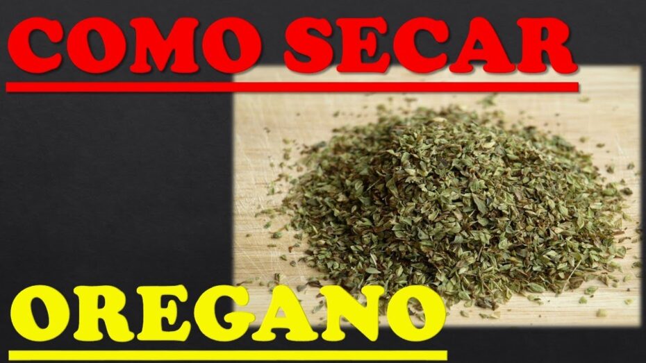 Secado de orégano: aprende cómo hacerlo correctamente
