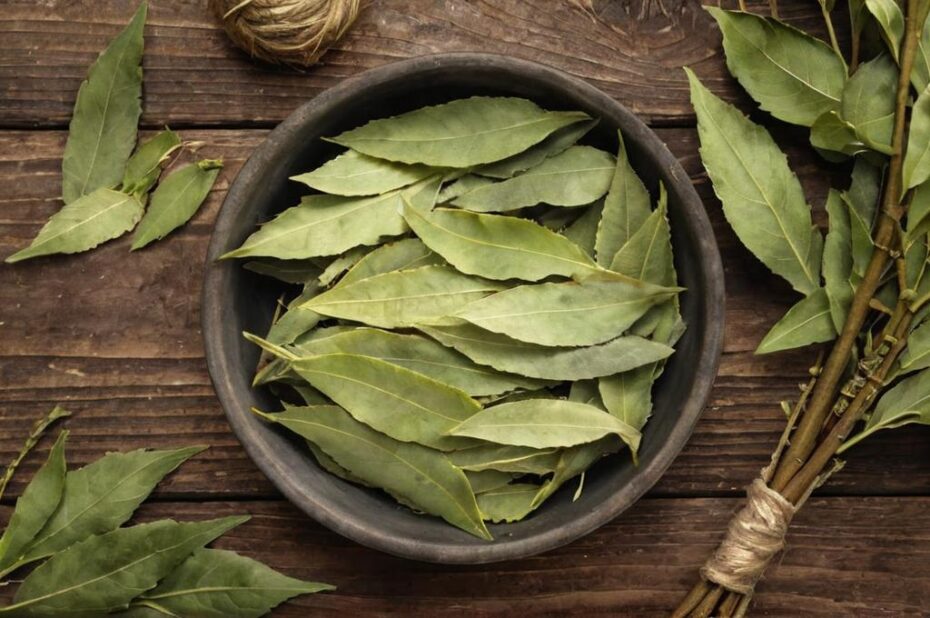 Cómo usar el laurel en la cocina y cuáles son sus beneficios