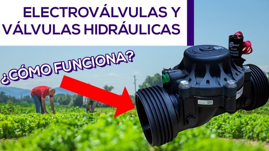 Guía completa para comprar una electroválvula de riego: consejos de experto en plantas y botánica