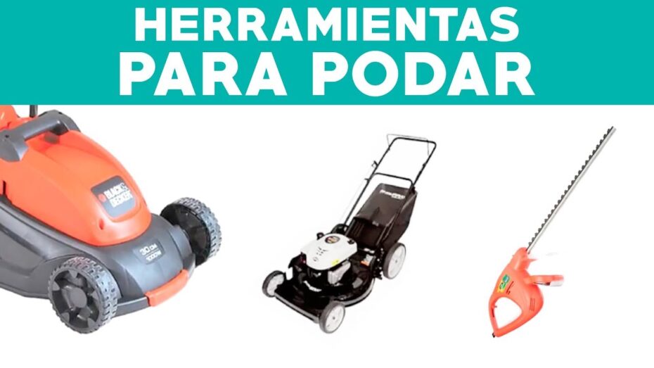 Guía completa para comprar herramientas de poda: consejos y recomendaciones