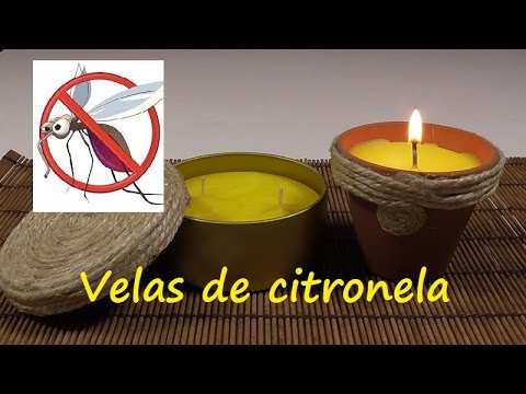 Compra una vela de citronela: guía para elegir la mejor opción