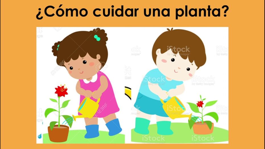 Consejos para niños: cómo cuidar las plantas y aprender de botánica