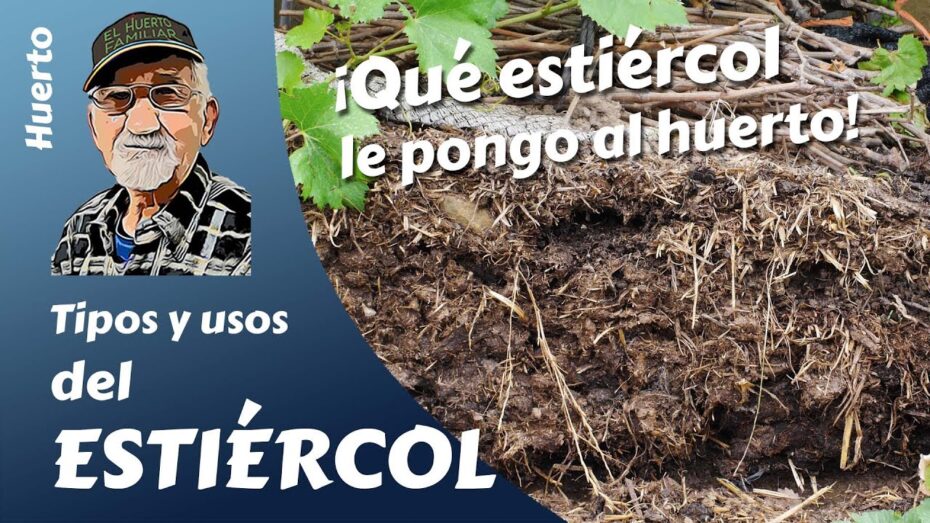 Optimiza tu huerto: Cuándo y cómo echar estiércol para un crecimiento saludable de tus plantas