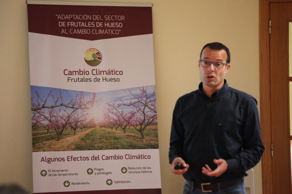 Poda de frutales de hueso: Cuándo y cómo realizarla para un mejor crecimiento y producción