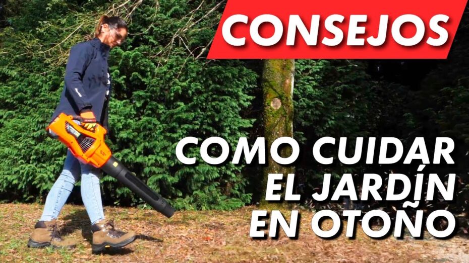 Guía de cuidados de jardín en otoño: consejos expertos para un mantenimiento óptimo
