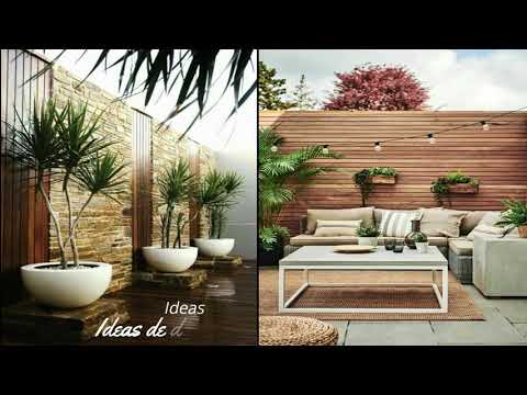 Decoración de patios exteriores: Cómo embellecerlos con plantas y botánica