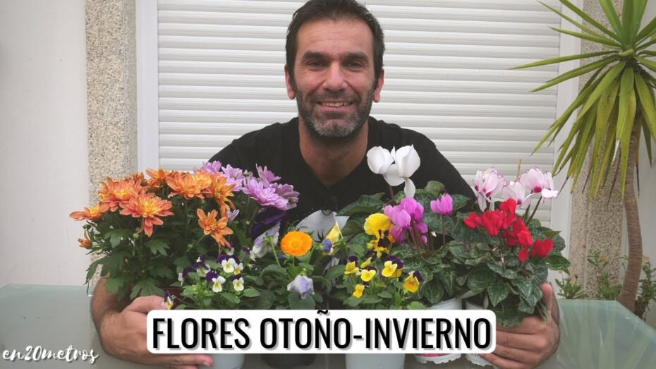 Flores de invierno: Descubre las especies más resistentes y hermosas para alegrar tu jardín