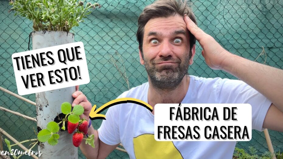 Fresas trepadoras: Descubre si existen y cómo cultivarlas