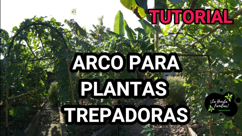 Arco de jardín: Guía de compra para elegir el mejor modelo