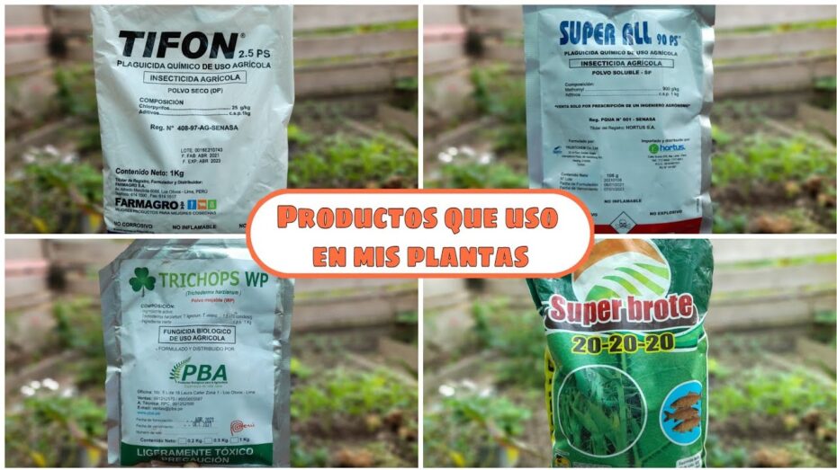 Insecticida para plantas: Guía de compra completa