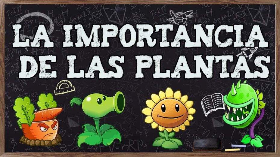 La Importancia de las Plantas: Descubre por qué son fundamentales para nuestro entorno y bienestar