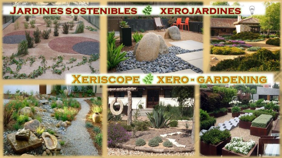 Características de un jardín sostenible: descubre cómo crearlo