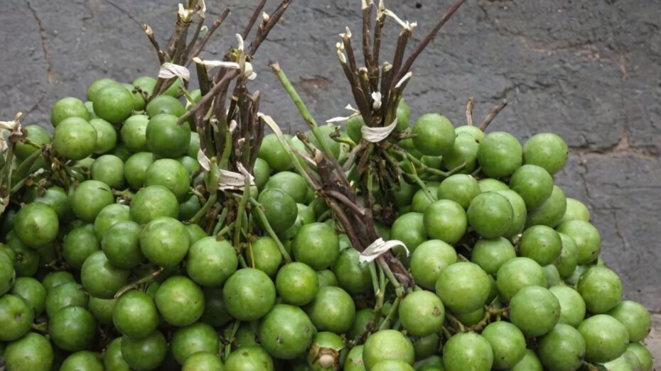 Los mamones, fruta tropical rica en vitamina B