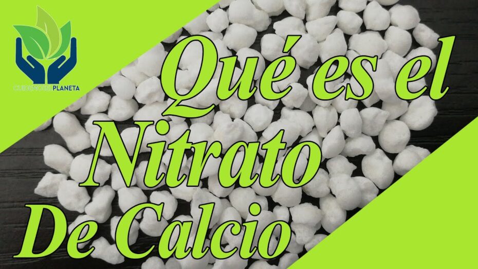 Nitrato de calcio en la agricultura: qué es y cómo utilizarlo