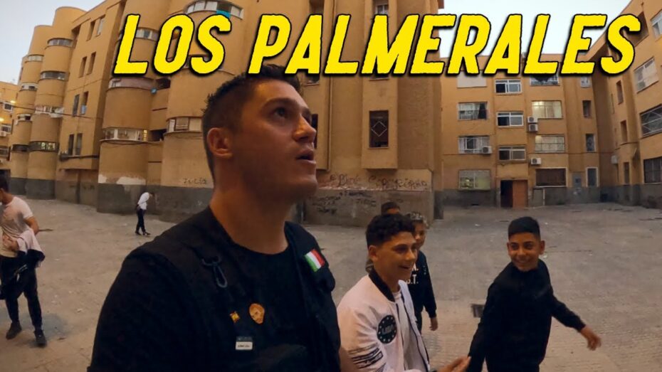 Palmeral de Elche: Explorando el increíble oasis de palmeras y su rica historia botánica