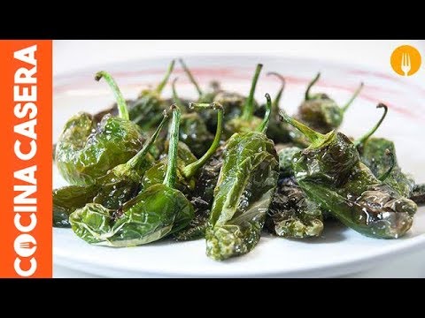 Pimientos de padrón: Todo lo que debes saber sobre esta variedad de Capsicum