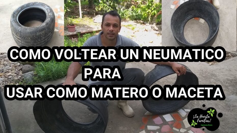 Plantas en neumáticos: una forma creativa de decorar y cultivar