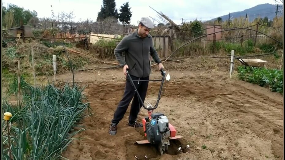 Preparación de un huerto en primavera: Guía completa para cultivar plantas y flores