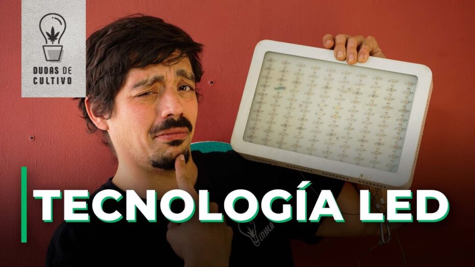 Iluminación LEC para cultivo: Descubre qué es y cómo funciona