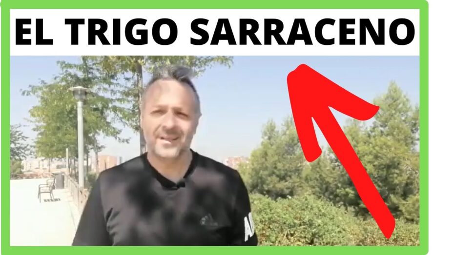 Trigo sarraceno: Todo lo que debes saber sobre esta planta y sus beneficios