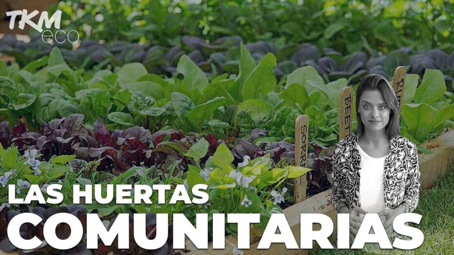 Huertos comunitarios: Descubre qué son y cómo funcionan