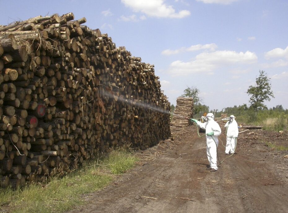 Productos fitosanitarios: Descubre qué son y cómo beneficiarte de ellos en el cuidado de tus plantas