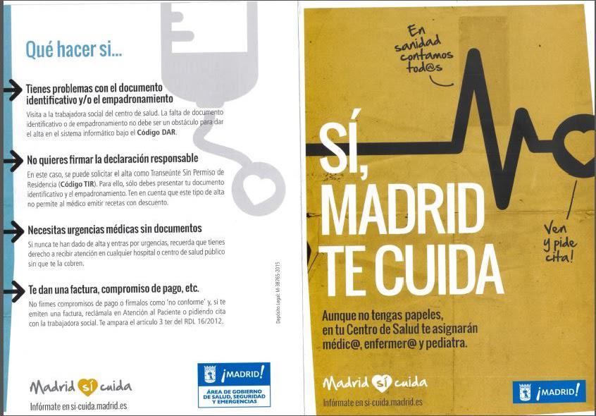 Tipos de coliflor: Descubre las variedades más populares y sus beneficios para la salud
