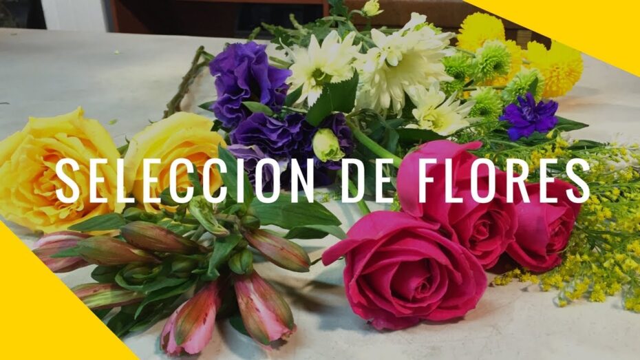 Ramos de flores: Conoce los diferentes tipos de flores