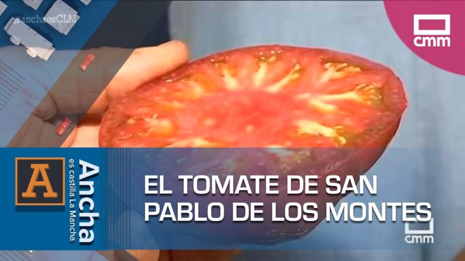 Tomate moruno: Descubre los secretos de esta deliciosa variedad