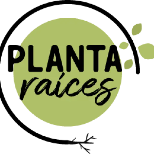 Mejores floristerías en España