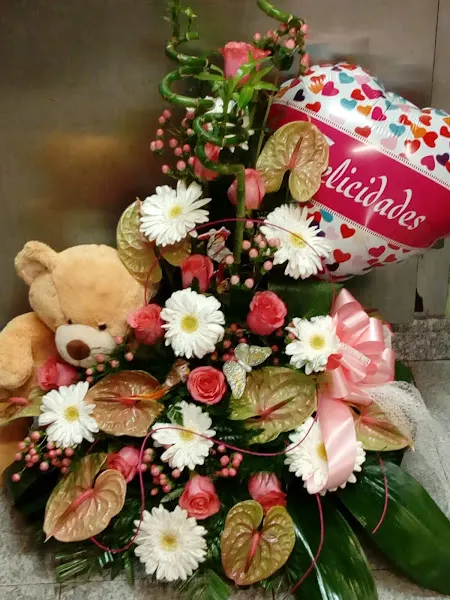 Xunco Floral S.L. - Ortigueira