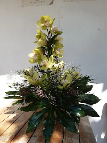 Floristería Rosalía Corcubión - Floristería en Corcubion