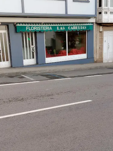 Floristería Las Camelias