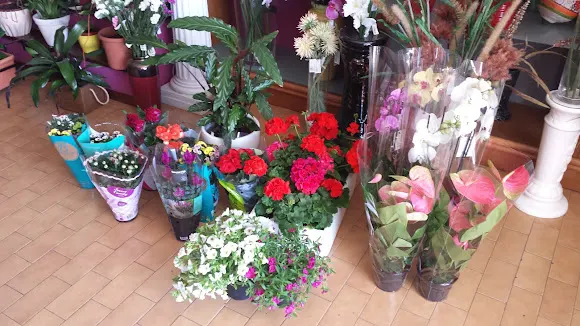 Flor Y Campo - Floristería en Ponteceso