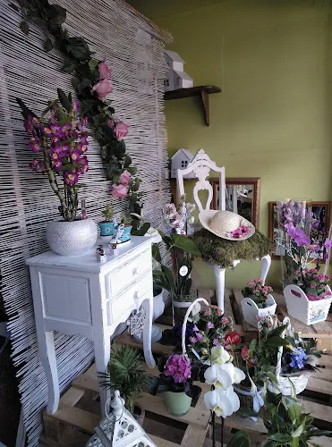 Floristeria La Rosa Taragoña