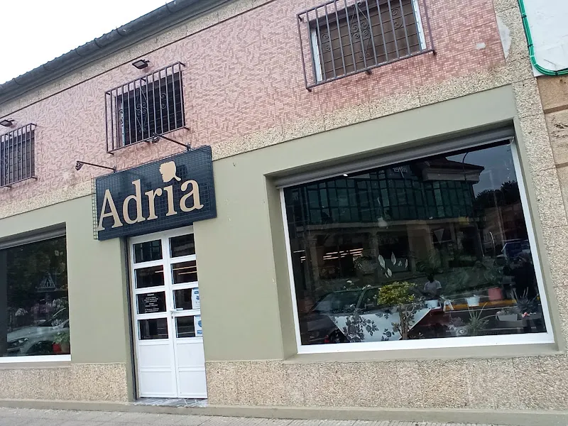 Adria Florería - Floristería en Brion