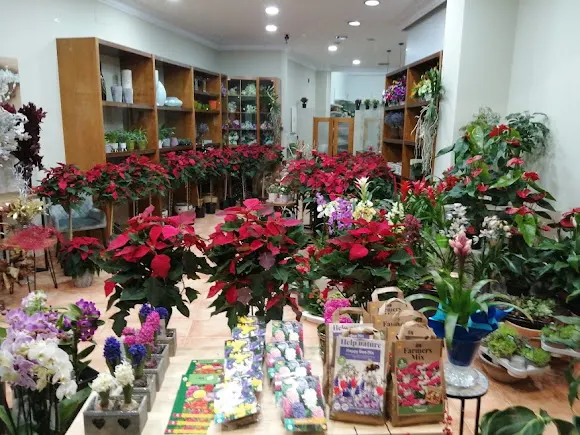 Delirio Floristas y Jardineros - Floristería en Negreira