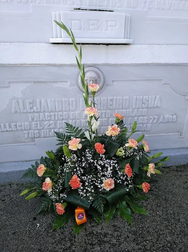 Agarimo flor - Floristería en Santa Comba